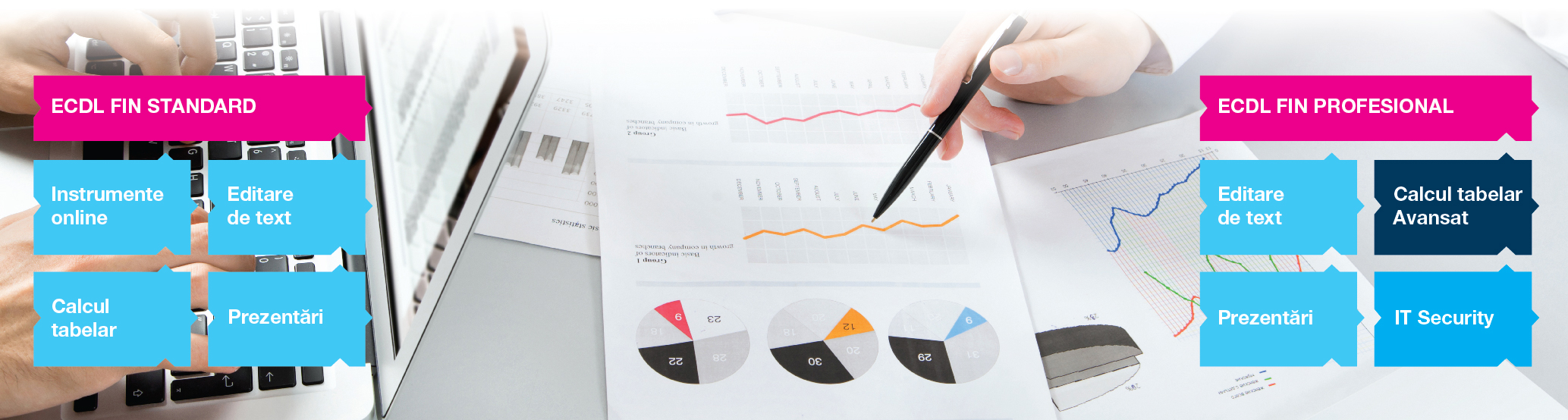 Profiluri_ECDLFin-01.jpg