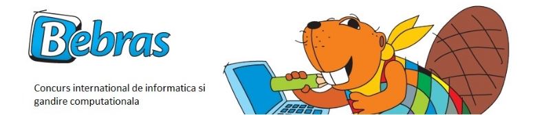 Concurs Bebras.JPG