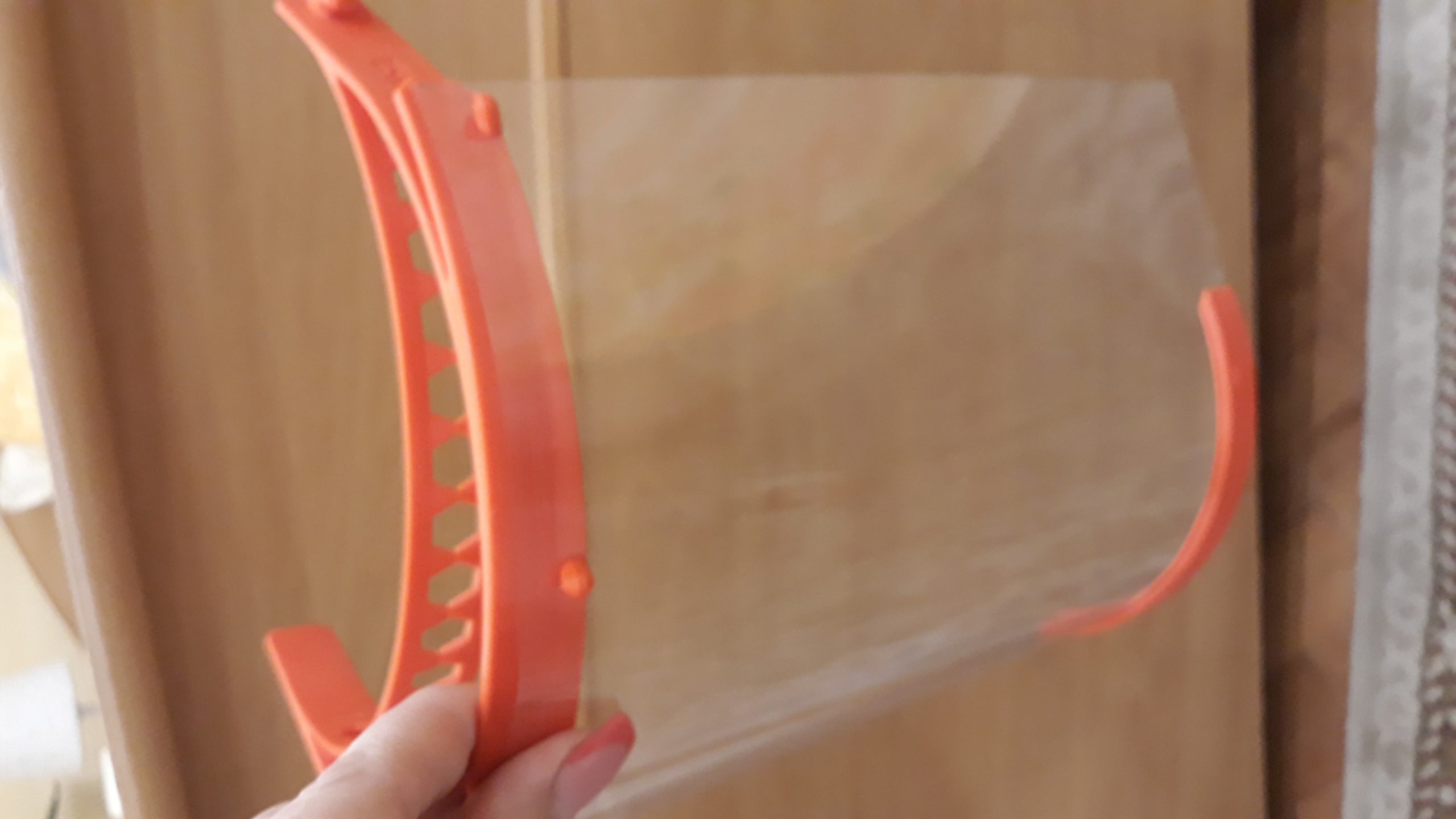 viziere Satu Mare 2.jpg