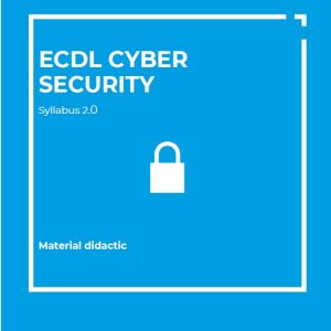 ICDL Cyber Security (format electronic)